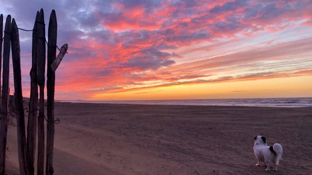 Katwijk aan Zee Beach House For You - Luxe Verblijf, 5 Min Van Het Strand מראה חיצוני תמונה